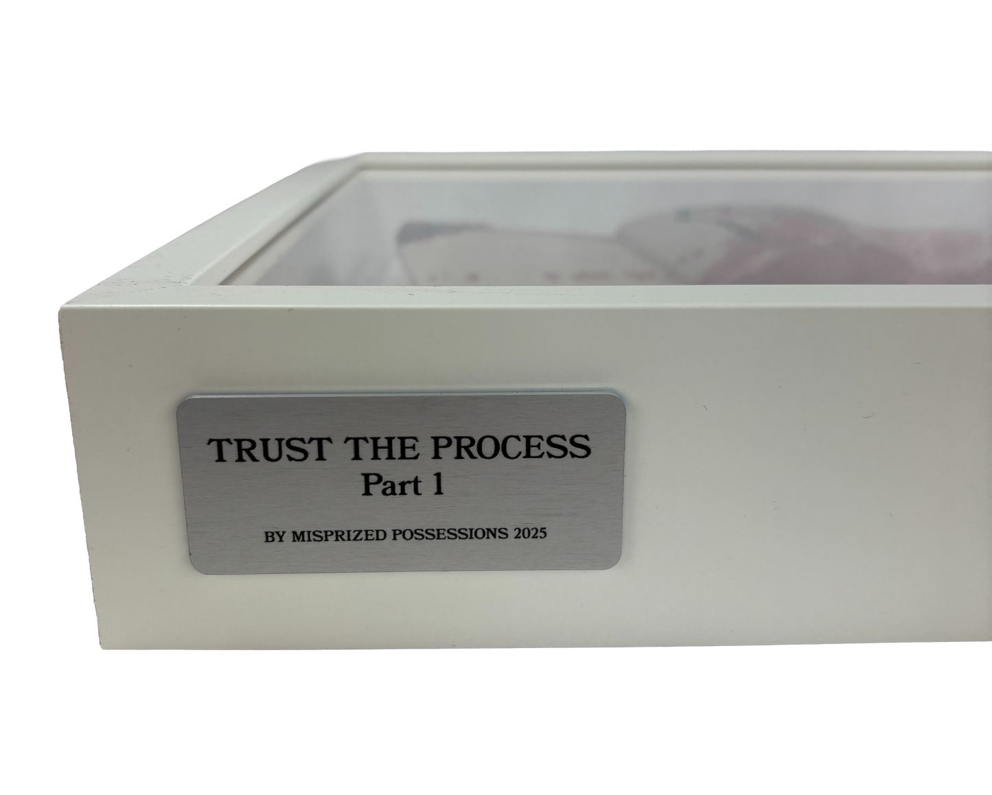 TRUST THE PROCESS Part 1 (1 of 1)